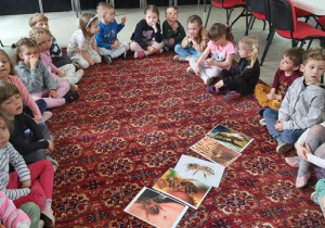 Dzieci oglądają ilustracje z pszczołami i słuchają informacji na ich temat.