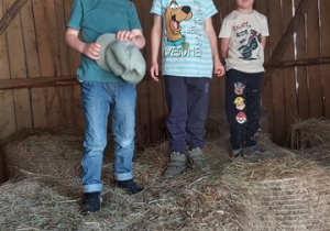 Trzech chłopców skacze po sianie w stodole.
