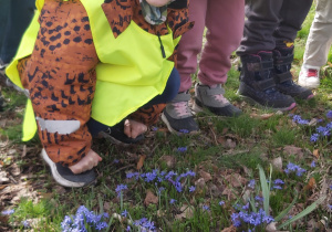 Chłopiec kuca obok kwitnących na niebiesko kwiatków.