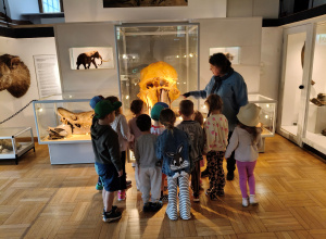 Pszczółki w Muzeum Ziemi