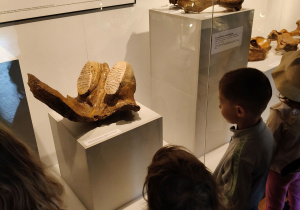 Dzieci oglądają eksponaty w muzeum.