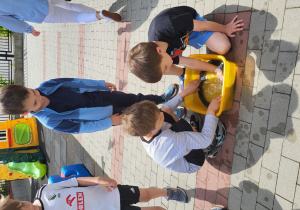Zdjęcie 14 na 14