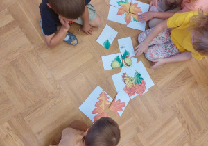 Zdjęcie 5 na 14