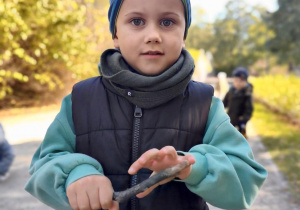Zdjęcie 3 na 23