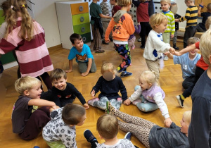 Zdjęcie 6 na 11