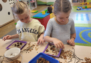 Dwie dziewczynki układają obrazek z łupin po orzechach oraz z patyczków.