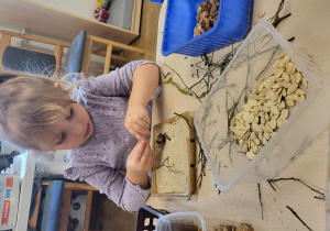 Dziewczynka układa obrazek z patyczków i pestek dyni.