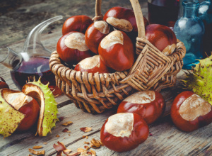 kasztany w koszyku
