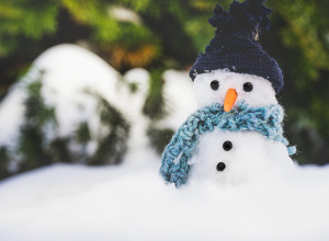 Pierwszy śnieg z Biedronkami