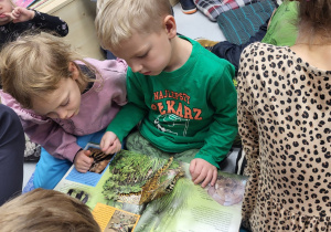 Dzieci oglądają trójwymiarową książkę o zwierzętach.