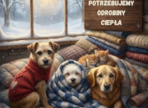 Zwierzęta potrzebują odrobiny ciepła