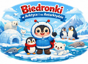 Biedronki na Antarktydzie