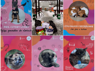 Zbiórka dla schroniska