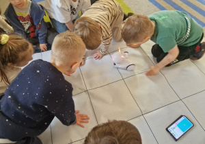 Chłopcy uruchamiają robota wg zaprogramowanej trasy.