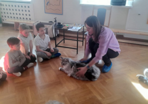 Pani opowiada o opiece nad kotem i kocich zwyczajach.