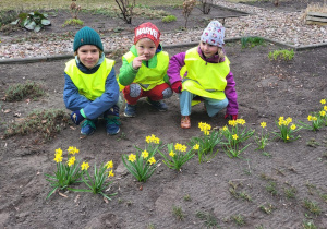 Troje dzieci pozuje do zdjęcia oglądając kwitnące żonkile.