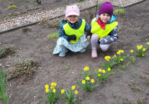 Dwie dziewczynki oglądają kwitnące żonkile.