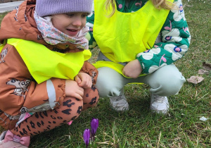 Dwie dziewczynki oglądają kwitnące krokusy.