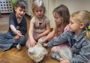 Dzieci oglądają i głaszczą kurczaczki.