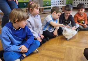 Dzieci oglądają i głaszczą kurczaczki.