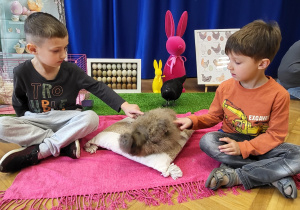 Dwoje dzieci głaszcze kurkę Halinkę.