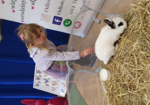 Dziewczynka głaszcze królika Czesia.