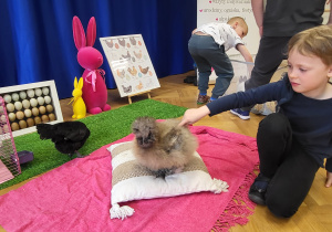 Dziewczynka głaszcze kurkę Halinkę.