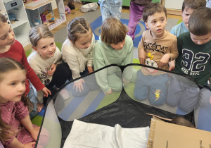 Grupa dzieci obserwuje szczury biegające w kojcu.