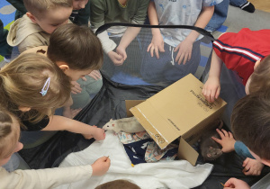 Dzieci głaszczą białego szczurka.