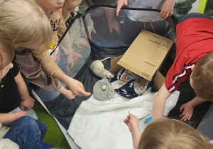 Dzieci bawią się z białym szczurkiem.