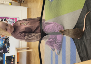 Dziewczynka obserwuje szczura w kojcu.