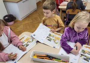 Dzieci wykonują karty pracy o owadach.
